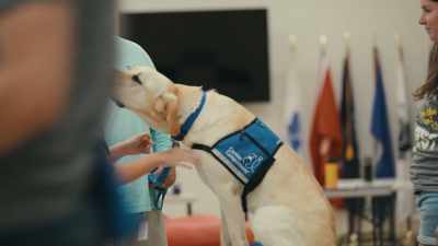 We literally make partnerships. - Inside the Mind of a Dog