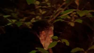 We literally walked right into
this chain-link fence. - Expedition Bigfoot