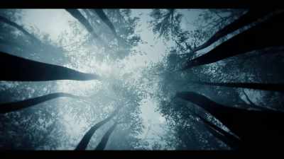 We live going down
a little road of life, - Beyond: UFOS and the Unknown