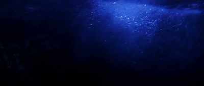 We live
in a sea of information, - Renegade: The Life Story of David Icke