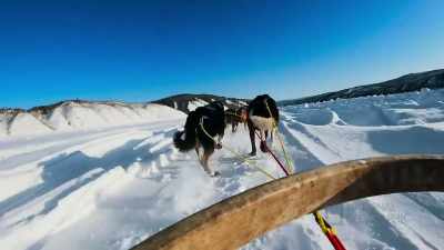 We live on these lands,
we understand the animals. - Life Below Zero: First Alaskans