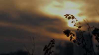 We lived in front of a field, by a Catholic school. - The Killer Truth