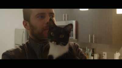 We were looking for a place - Cat Daddies