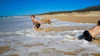 We loved going to the beach
with our dog. - Twisted Pair