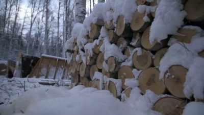 We made a transition
into early winter, - Life Below Zero: Next Generation