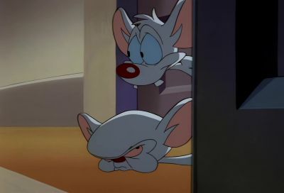 WE MADE IT
INSIDE, BRAIN. - Animaniacs