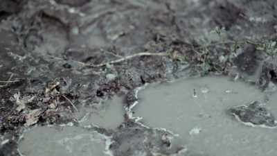 We had made plans to go out
there, to dig up the body - Floribama Murders