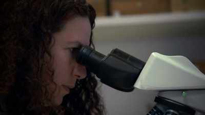We manage to identify pollen
such as olives, grapes, - Dead Sea Scrolls: The Doomsday Prophecy