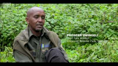 We had many poachers coming, - Extinction: The Facts