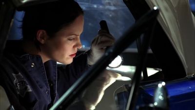 We match your blood to the staple gun, - CSI: Crime Scene Investigation