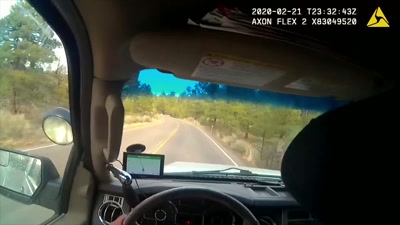 "We may very well have found Sasha." - How I Caught My Killer