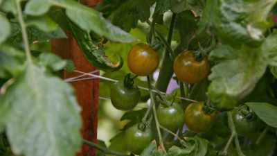 We met this guy by the name - Food and Country