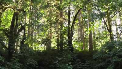 We might actually be stuck
on this bottom tonight. - Expedition Bigfoot