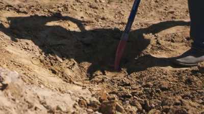 WE MIGHT BE CLOSE
TO A SKULL SOMEWHERE IN HERE. - Dino Hunters