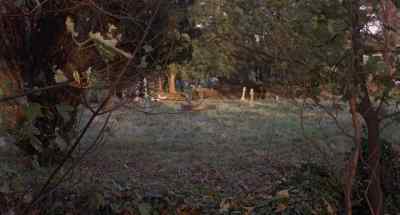 We might find a
trace of Oona here. - Cry of the Banshee