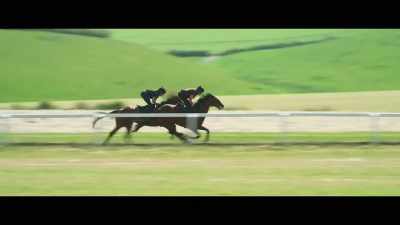 We might have
up to 20 running at Ascot. - Horsepower