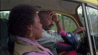 We Miss Big Bird Too - Follow That Bird