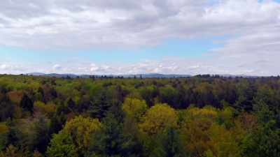 We moved to Northern Washington - Sins of the Amish