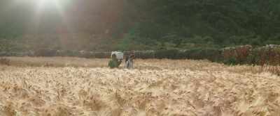We must all prepare for winter, - Lunana: A Yak in the Classroom