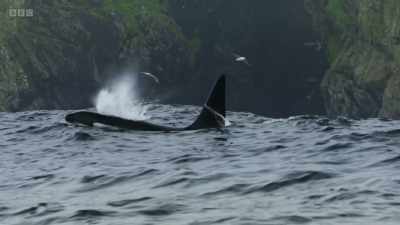 We must do everything we can
to ensure that our waters - Wild Isles