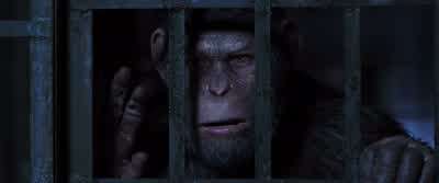We must keep looking down there... - War for the Planet of the Apes