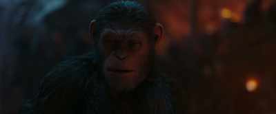 We must leave tonight! - War for the Planet of the Apes