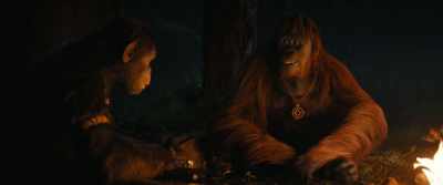We name them all Nova. - Kingdom of the Planet of the Apes