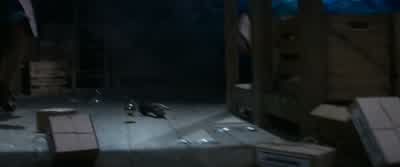 - We need an insect! - Fantastic Beasts and Where to Find Them