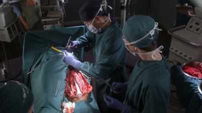 We need to get blood
back into his leg - The Good Doctor