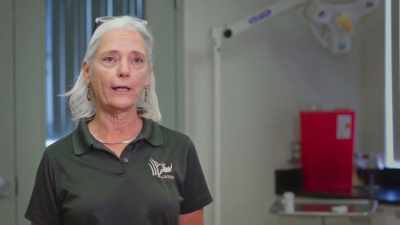 We need to get hands on the baby - Secrets of the Zoo