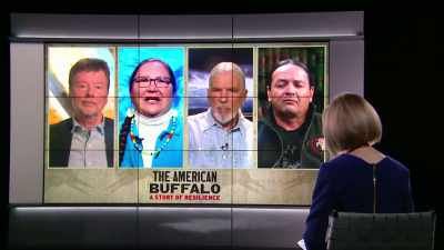 We need to have healthy land, - The American Buffalo