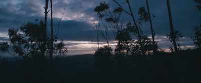 We need to head further
into the valley to find her. - Force of Nature: The Dry 2