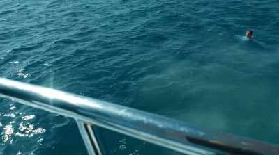 - We need to make a better deal.
- What deal? - Harpoon