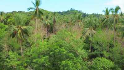 We need to make a little roof,
get palm fronds? - Naked and Afraid of Love