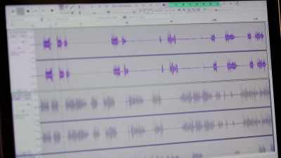 We need to scour
these recordings - The Holzer Files