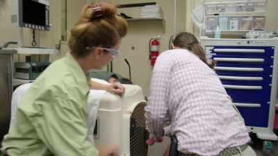 We need to see how he responds
to these vitamin supplements - Magic of Disney's Animal Kingdom