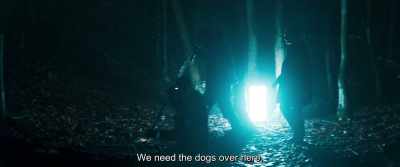 We need the dogs over here. - The Marco Effect