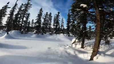 We need the meat, but we
have to keep an eye out - Life Below Zero: First Alaskans