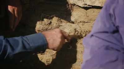WE NEED TO FIND THE SKULL
IN A HURRY - Dino Hunters