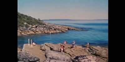 We not only learnt to fish
and surf here, and swim, - Revealed: How to Poison a Planet