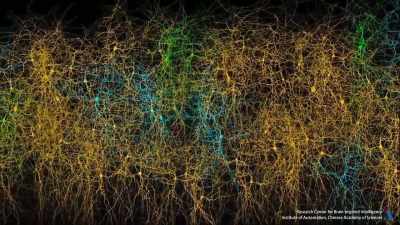 We noticed that the brain, for example, - iHuman