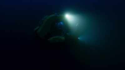 We now know that
the Twilight Zone is a refuge - Blue Planet II