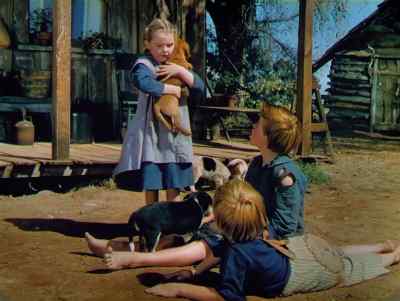 - We oughta drown him.
- Sure, he's the runt. - Song of the South