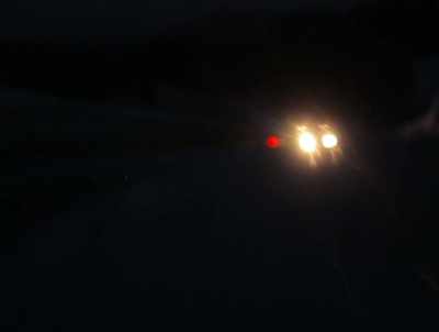 We were out going to "park". - American Werewolves