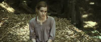 We promiseto remain your eyes and ears- How long before he can travel? - Harry Potter and the Deathly Hallows: Part 1