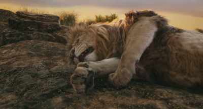 We protect the pride
as we nap. - Mufasa: The Lion King