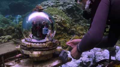 We put a lot of effort
getting those cameras down, - Chasing Coral