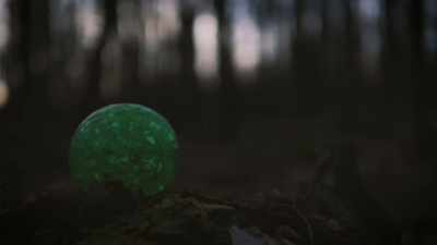We put the ball down, - Secrets of the Sasquatch