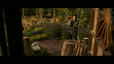 We quickly became like brother and sister. - Dungeons & Dragons: Honor Among Thieves