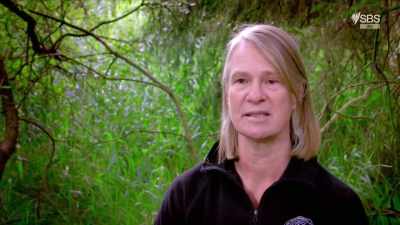 We radiocarbon-date the peat
immediately below - Curse of the Ancients with Alice Roberts